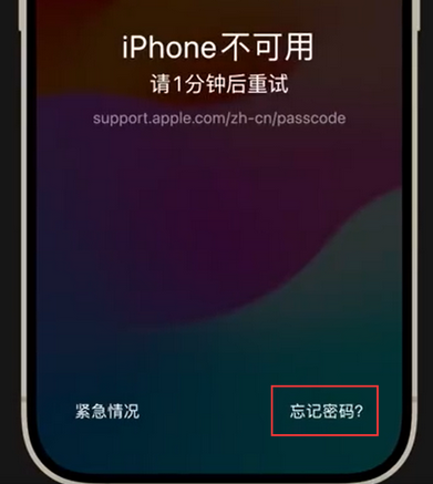 昆山苹果手机密码维修分享iPhone忘记了刚设置的密码 