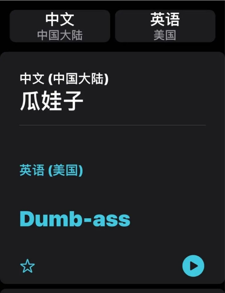 昆山苹果手机维修分享iOS14的“翻译太懂了”怎么用 